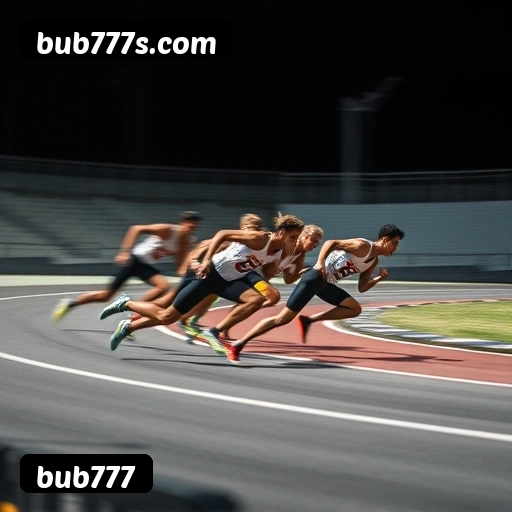 Níveis do programa VIP da bub777